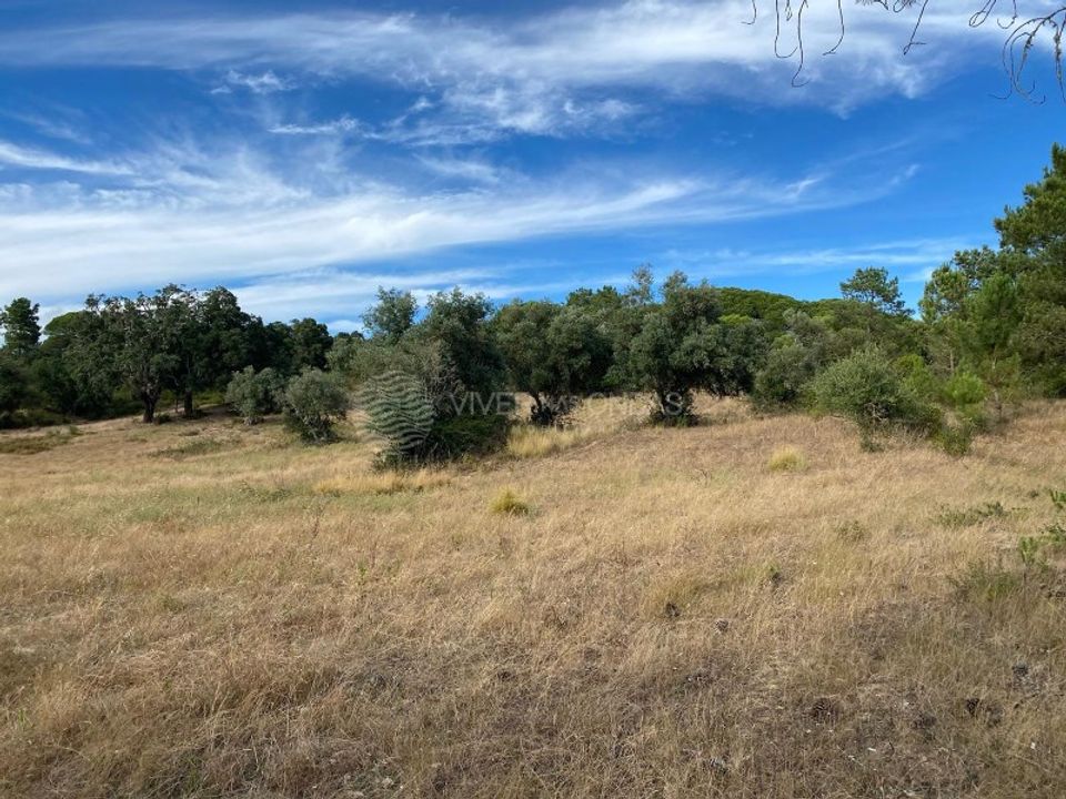 Terra em Sesimbra, Setubal - foto 1