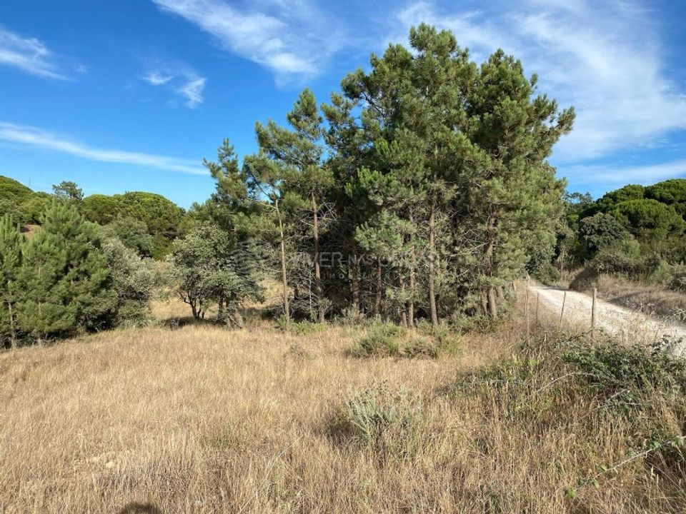 Terra em Sesimbra, Setubal - foto 4