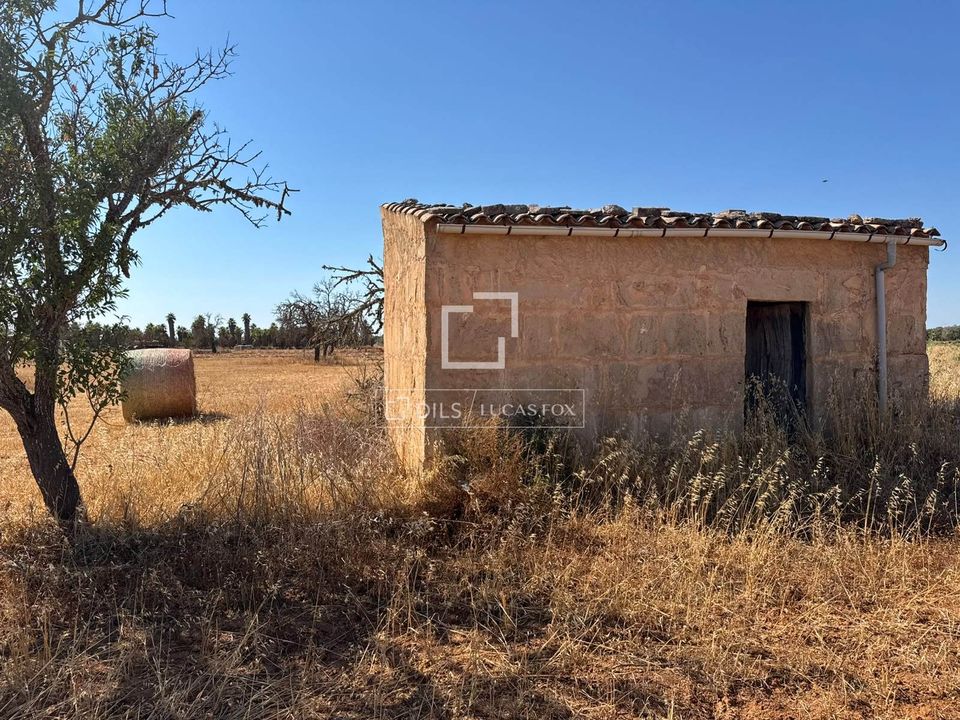 Terra em Sa Rapita, Mallorca - foto 2