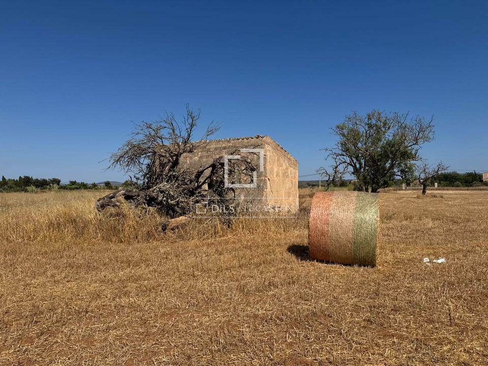 Terra em Sa Rapita, Mallorca - foto 5