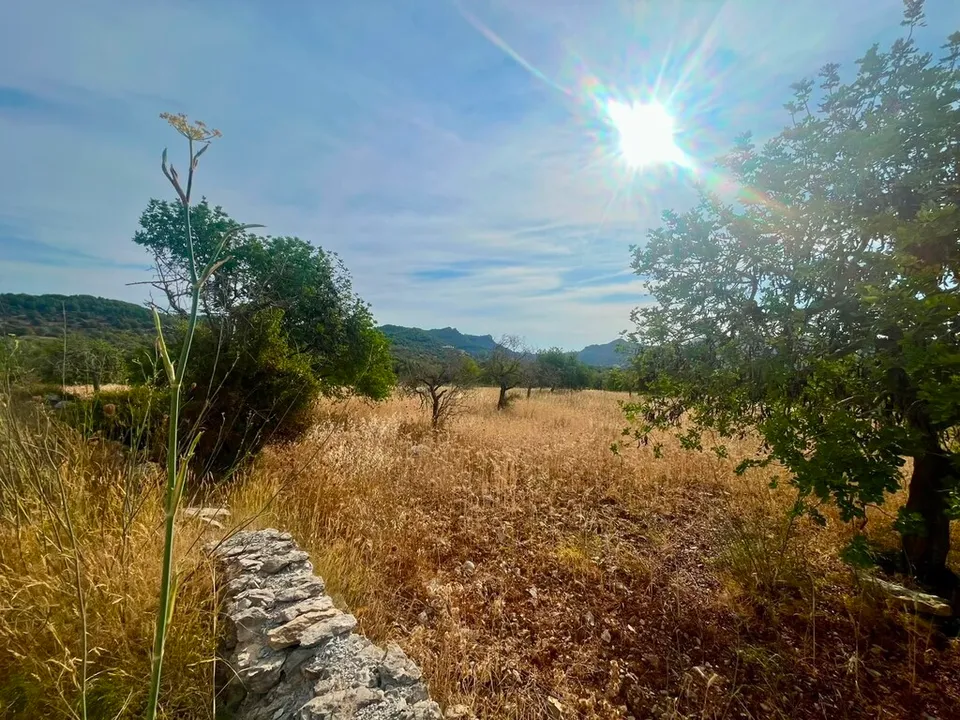 Helårsgrund i Arta, Mallorca - foto 1