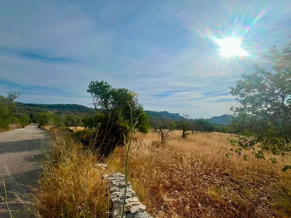 Helårsgrund i Arta, Mallorca - foto 3