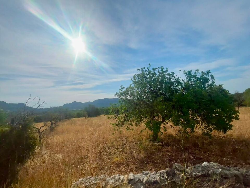 Helårsgrund i Arta, Mallorca - foto 4