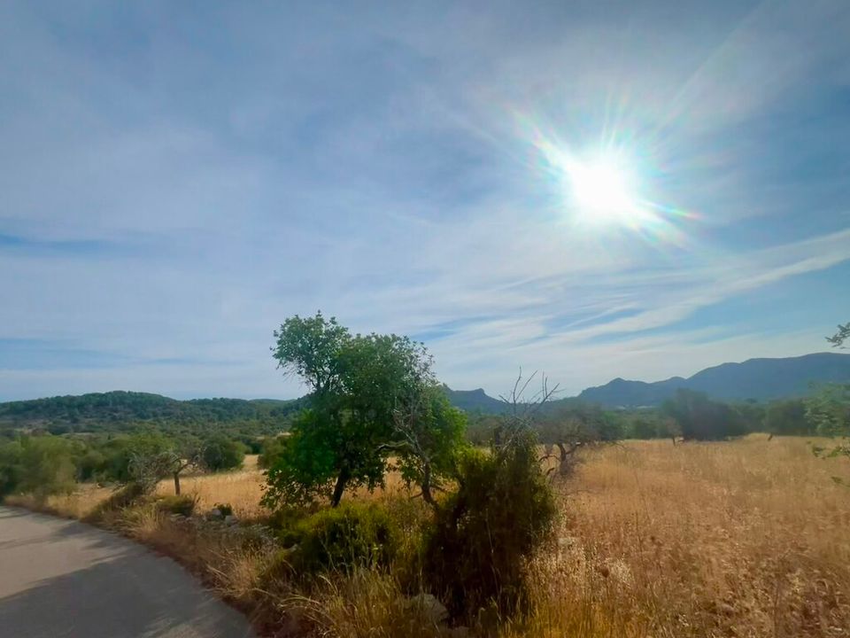 Helårsgrund i Arta, Mallorca - foto 5