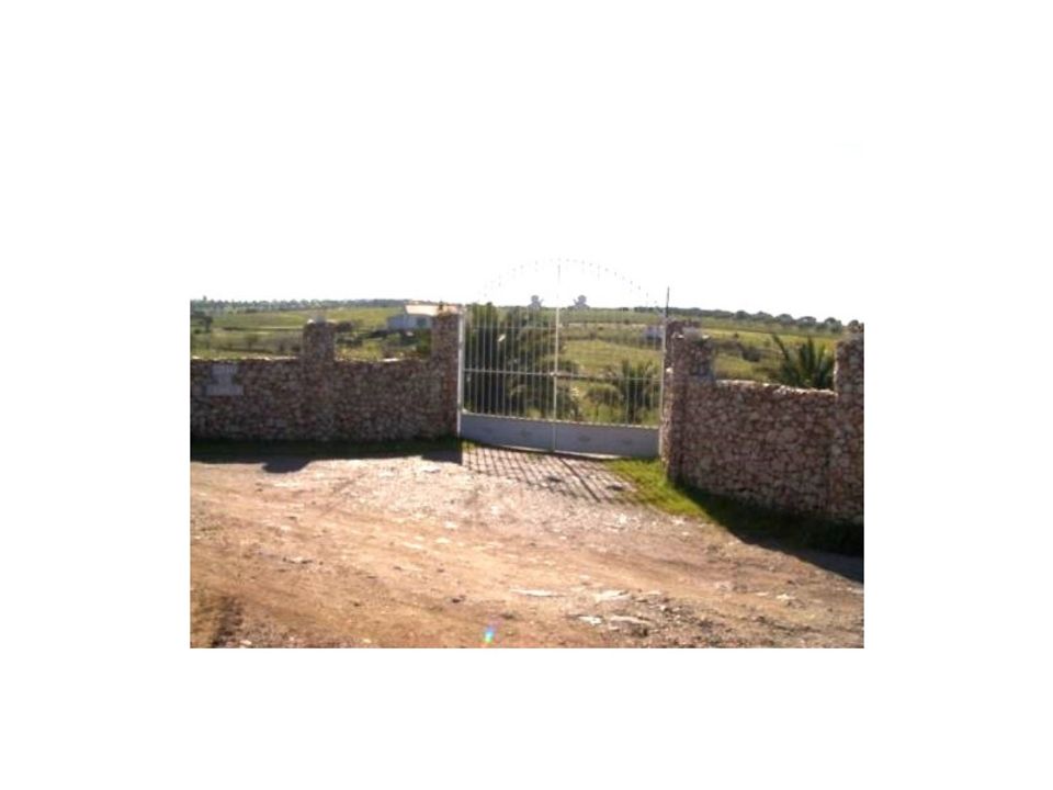 Granja en Amareleja, Beja - foto 2