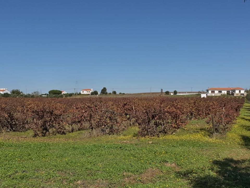 Helårsgrund i Reguengos de Monsaraz, Evora - foto 2