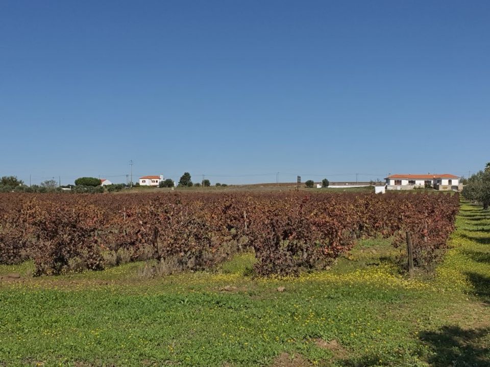 Helårsgrund i Reguengos de Monsaraz, Evora - foto 3