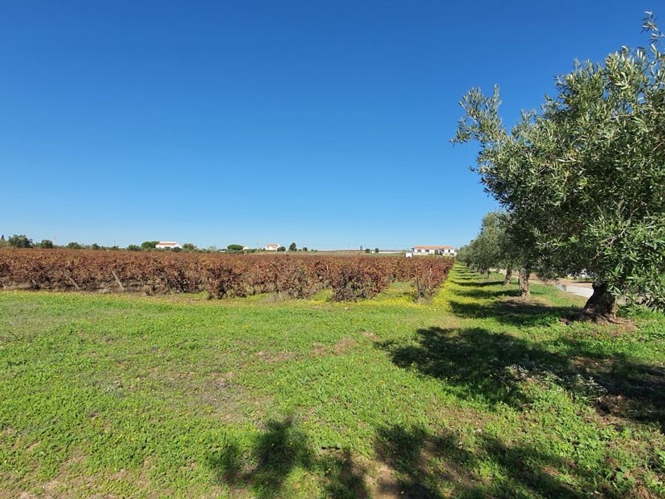 Helårsgrund i Reguengos de Monsaraz, Evora - foto 4
