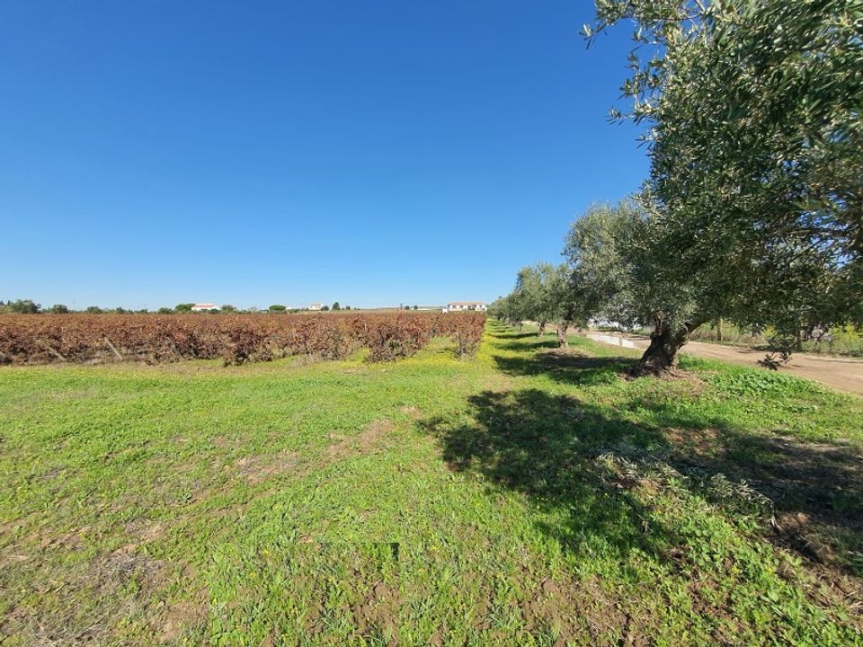 Helårsgrund i Reguengos de Monsaraz, Evora - foto 5