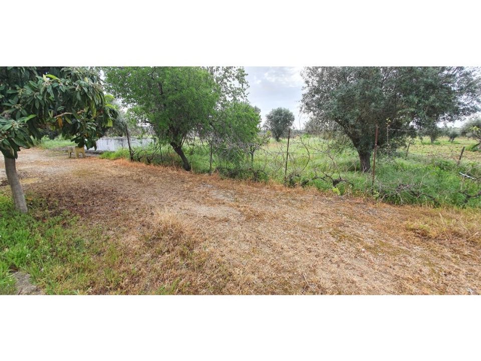 Farm i Reguengos de Monsaraz, Evora - foto 3