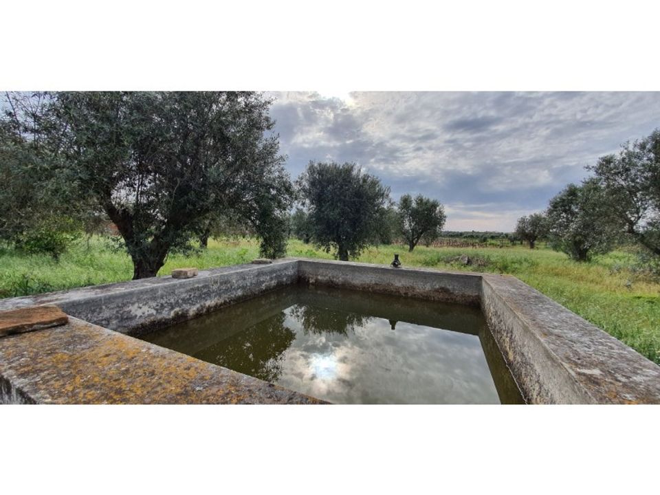 Farm i Reguengos de Monsaraz, Evora - foto 4
