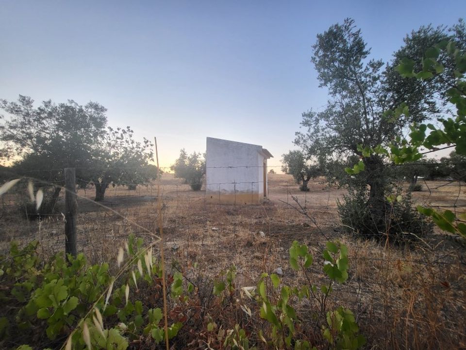 Helårsgrund i Reguengos de Monsaraz, Evora - foto 2
