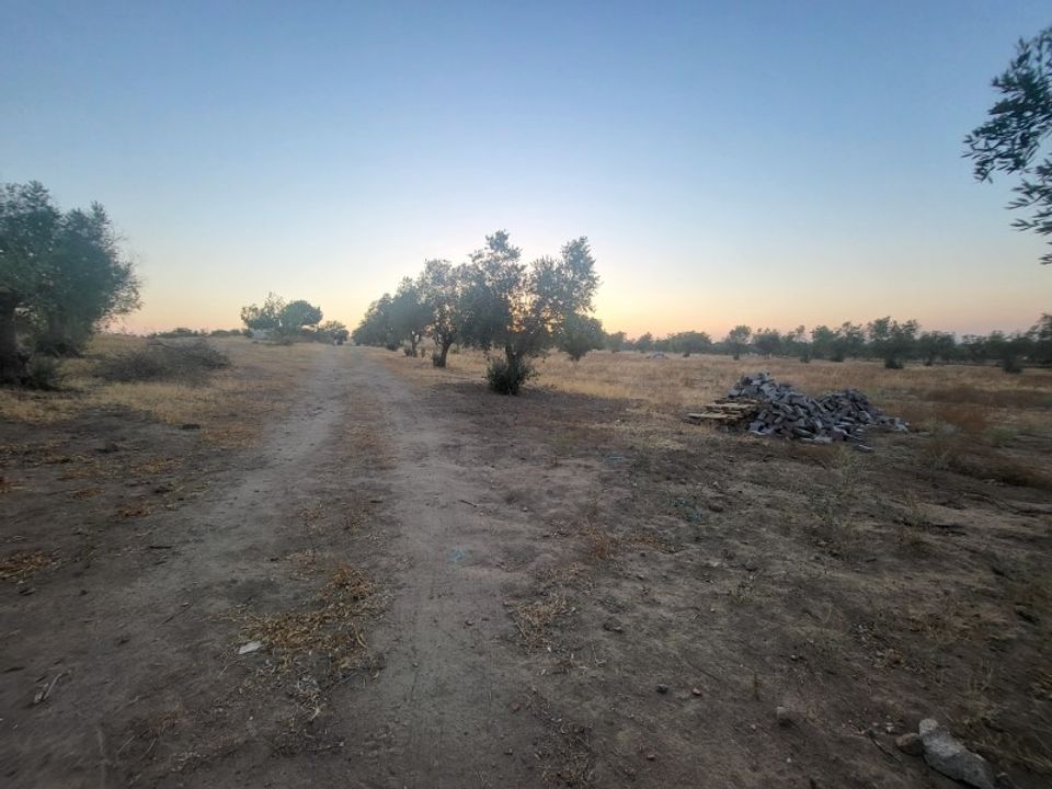 Helårsgrund i Reguengos de Monsaraz, Evora - foto 4
