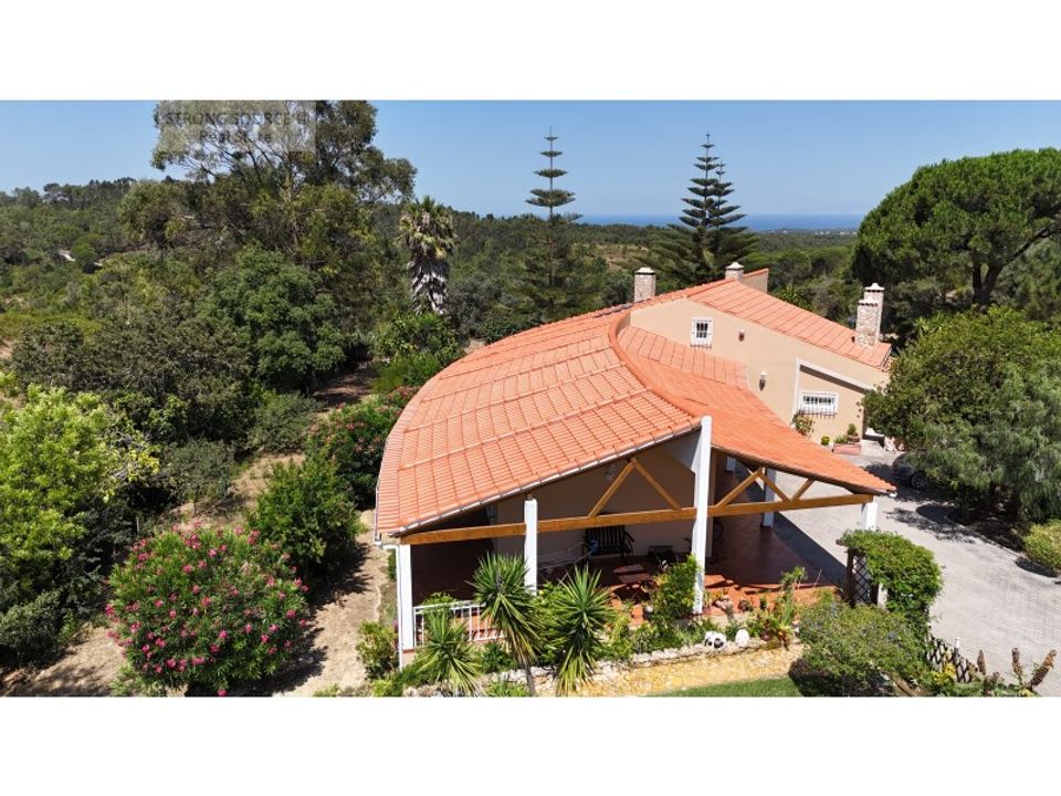 Farm i Sesimbra, Setubal - foto 3