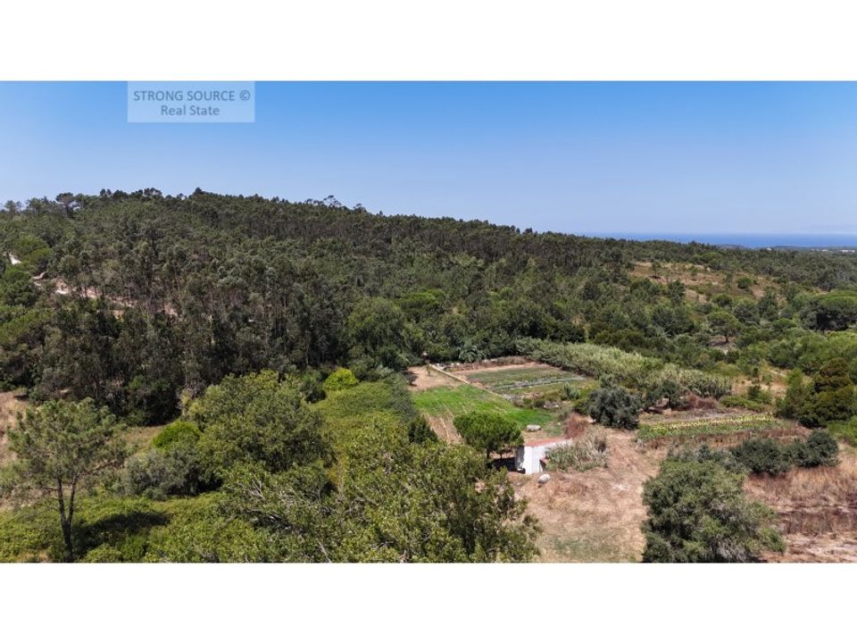 Farm i Sesimbra, Setubal - foto 4