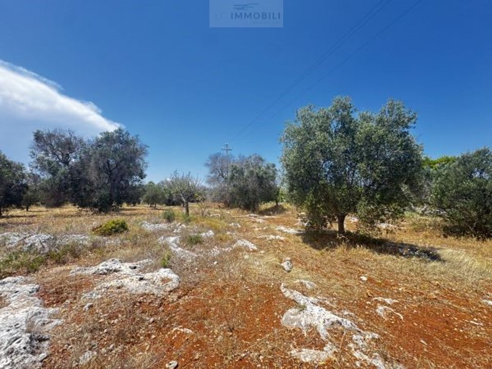 Helårsgrund i Carovigno, Brindisi - foto 1