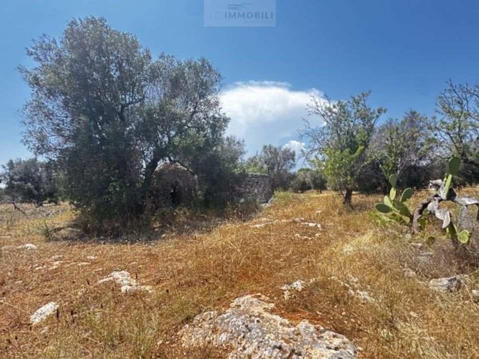 Helårsgrund i Carovigno, Brindisi - foto 3