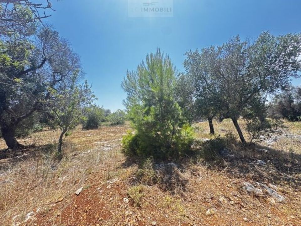 Helårsgrund i Carovigno, Brindisi - foto 5