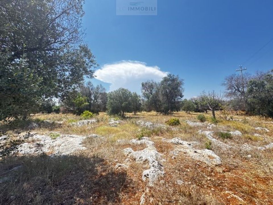 Helårsgrund i Carovigno, Brindisi - foto 2