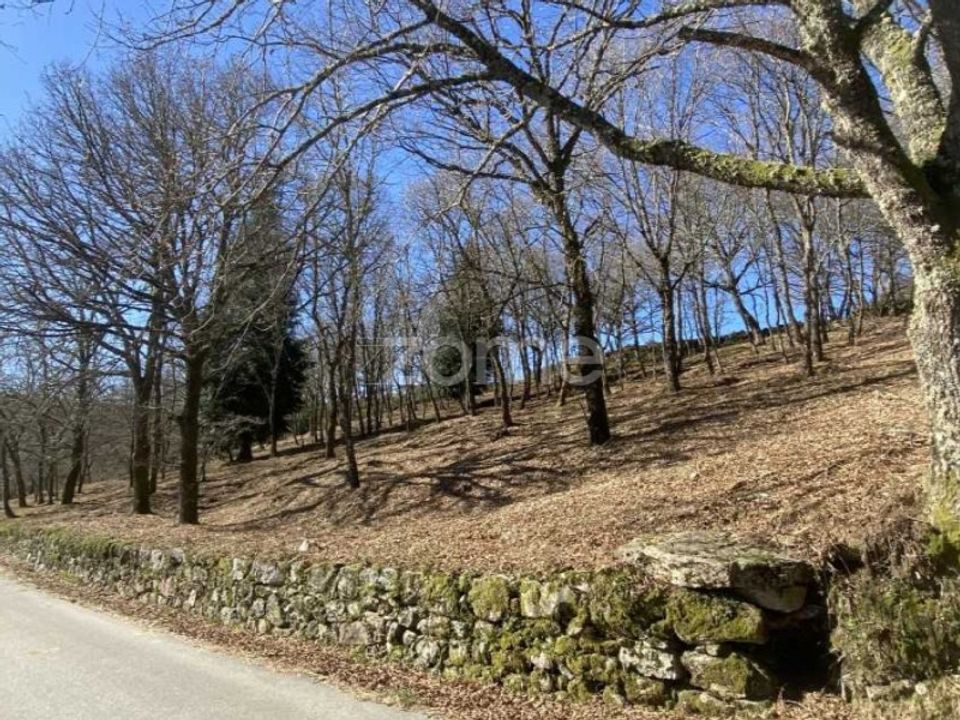 Helårsgrund i Montalegre, Vila Real - foto 1