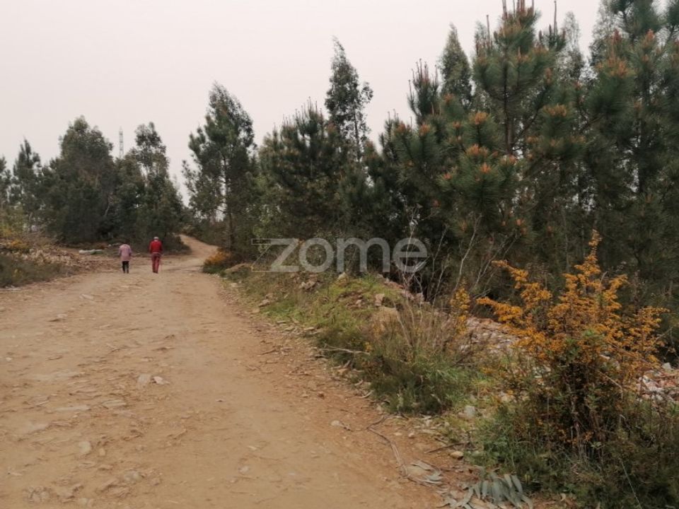 Terreno en Ribeirao, Braga - foto 1