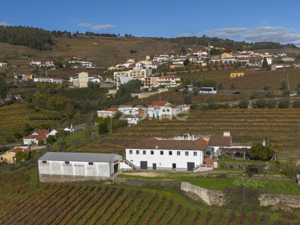 Farm i Fontelas, Vila Real - foto 3