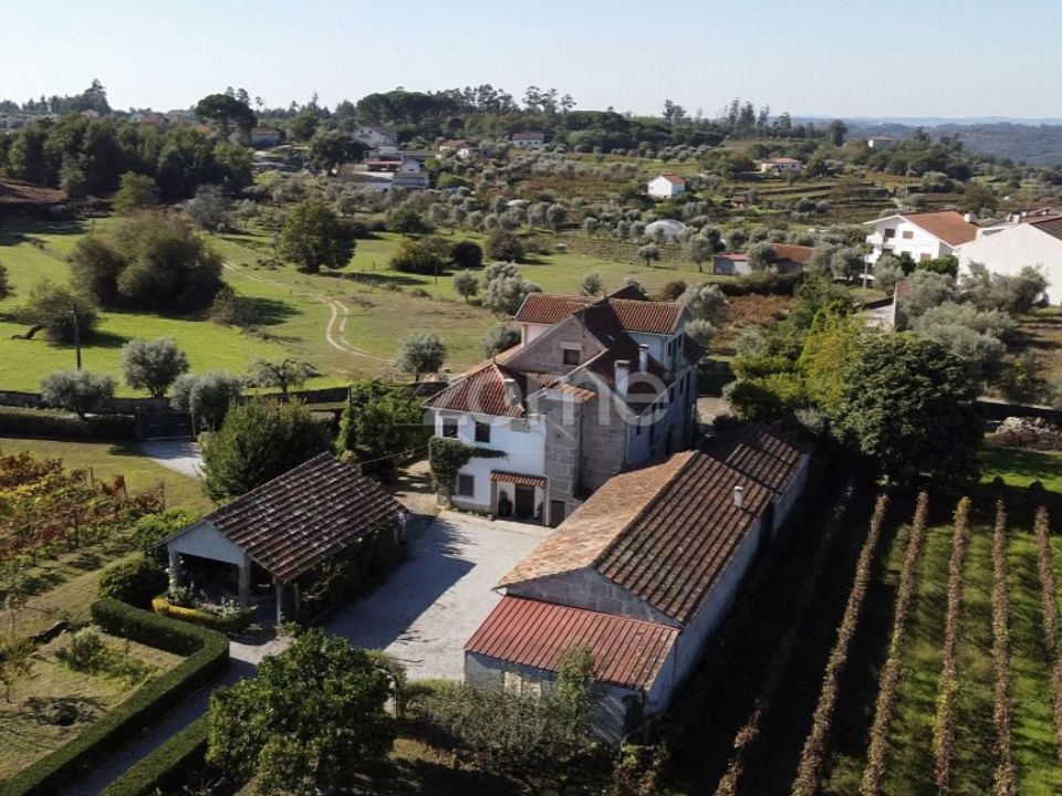 Farm i Viseu, Viseu - foto 1