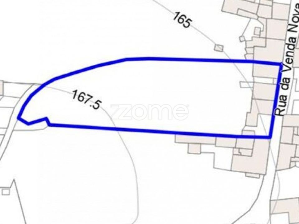 Willa: Pedroso, Porto – zdjęcie 4