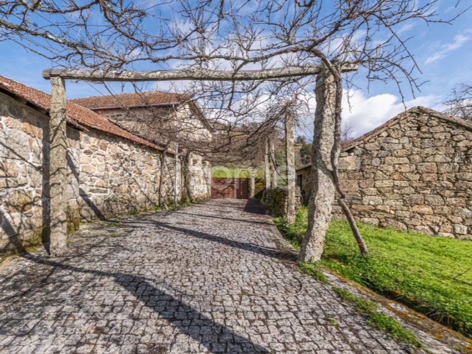 Farm i Ribeira de Pena, Vila Real - foto 1