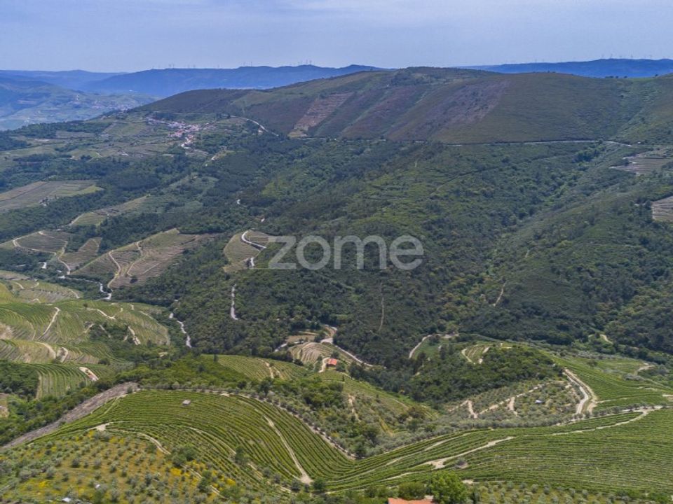 Boerderij in Sabrosa, Vila Real - foto 1