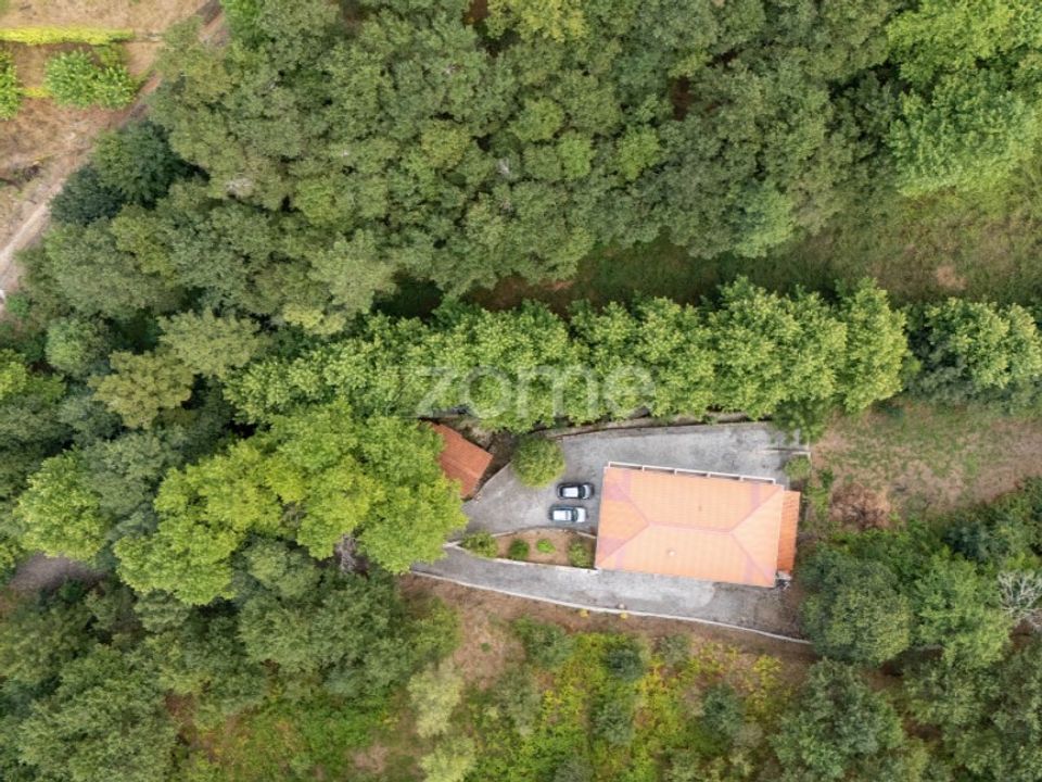 Granja en Alvite e Passos, Braga - foto 4