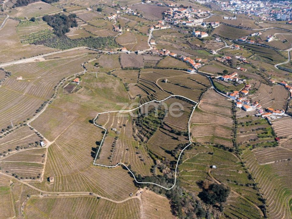 Helårsgrund i Fontelas, Vila Real - foto 4