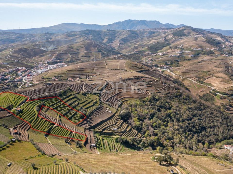 Tomt i Santa Marta de Penaguiao, Vila Real - bilde 1