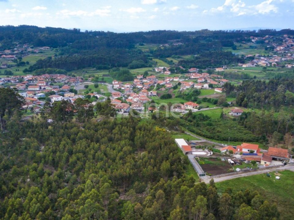 Helårsgrund i Santo Tirso, Porto - foto 2