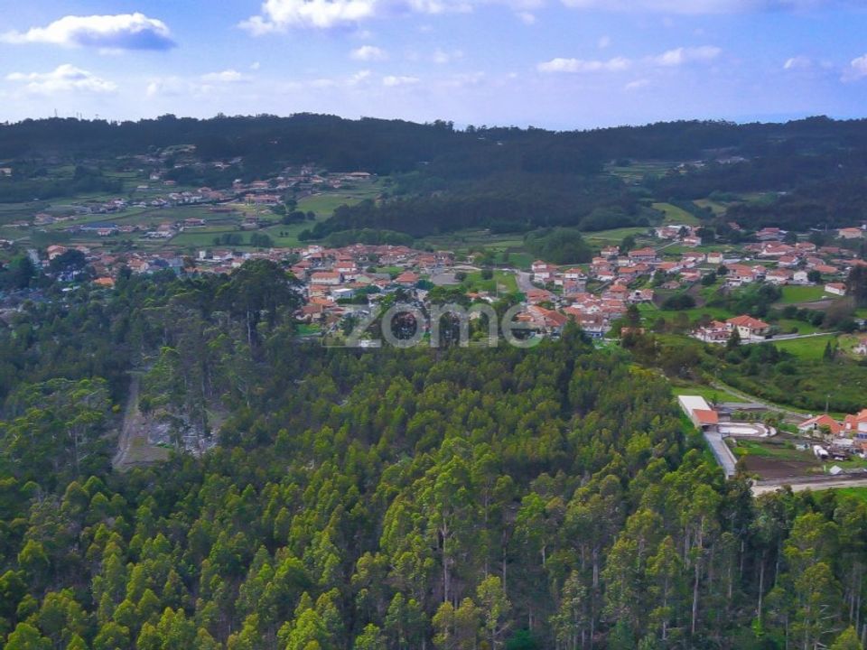 Helårsgrund i Santo Tirso, Porto - foto 3