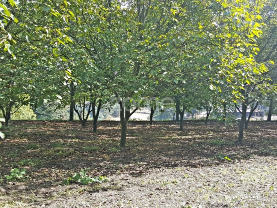 Tomt i Lamelas e guimarei, Porto - bilde 5