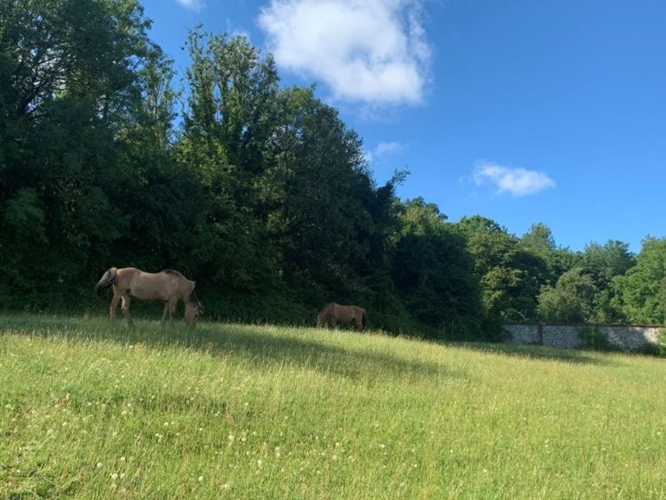 Villa a Saint-Rémy-au-Bois, Pas-de-Calais - foto 5