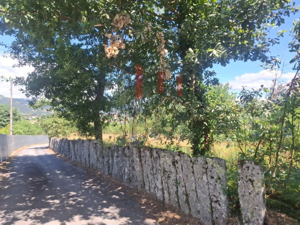 Terrain - Azere, Viana do Castelo - photo 2