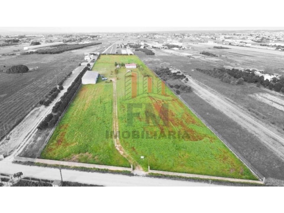Farm i Almeirim, Santarem - foto 1