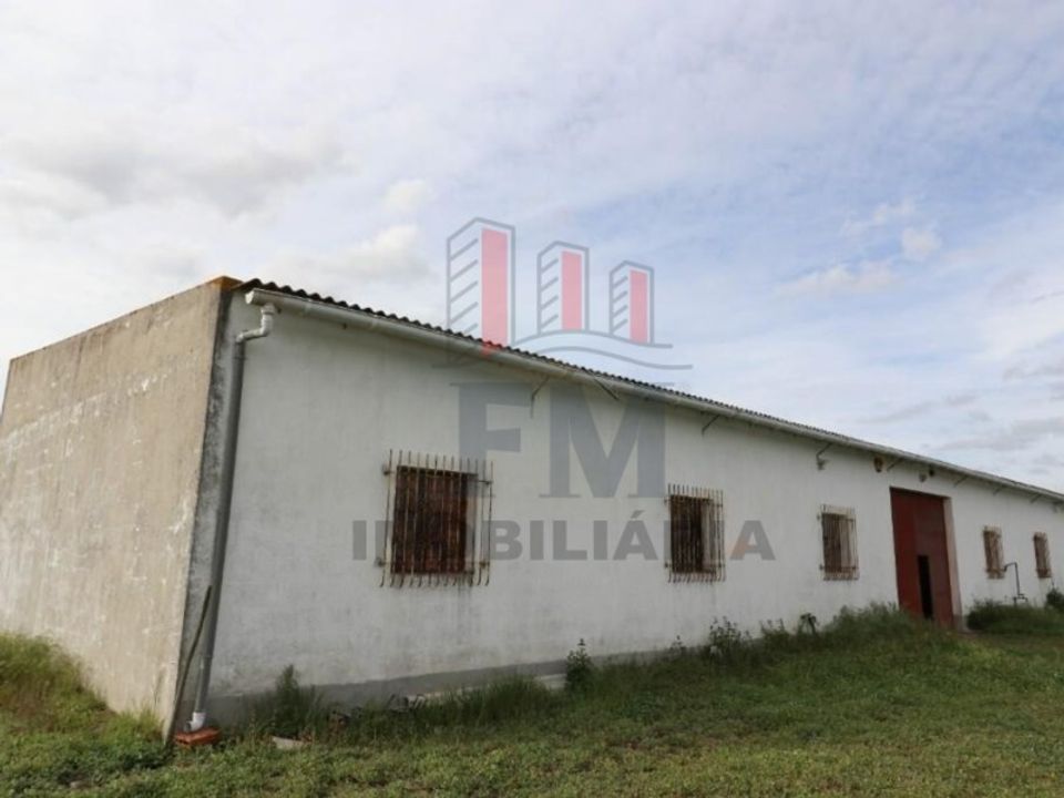 Farm i Almeirim, Santarem - foto 2
