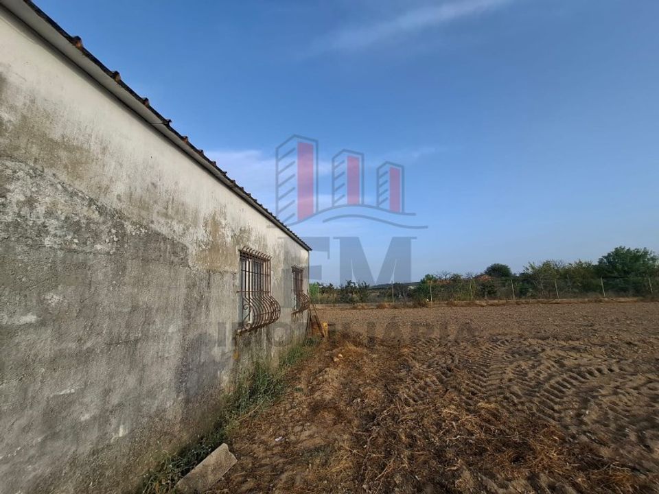 Farm i Almeirim, Santarem - foto 5