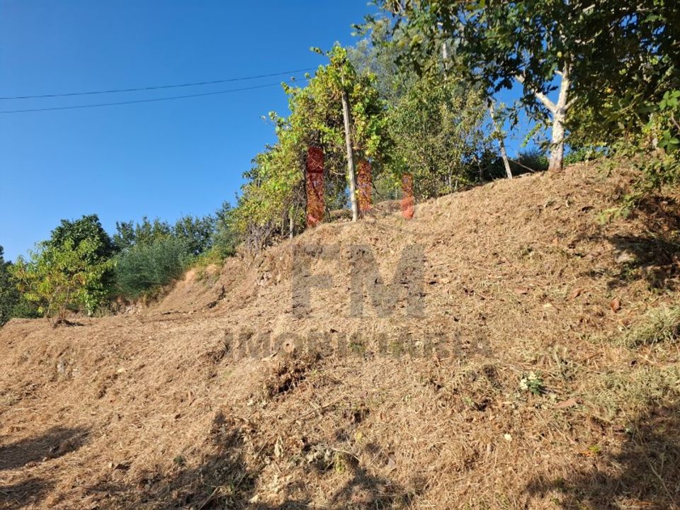 Terrain - Azere, Viana do Castelo - photo 3