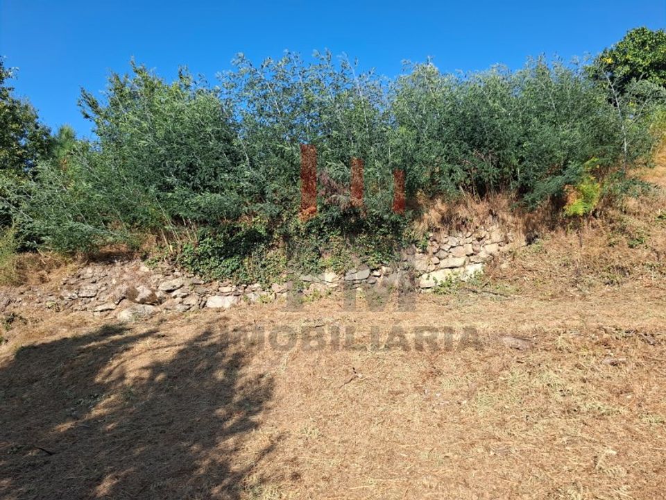 Terrain - Azere, Viana do Castelo - photo 4