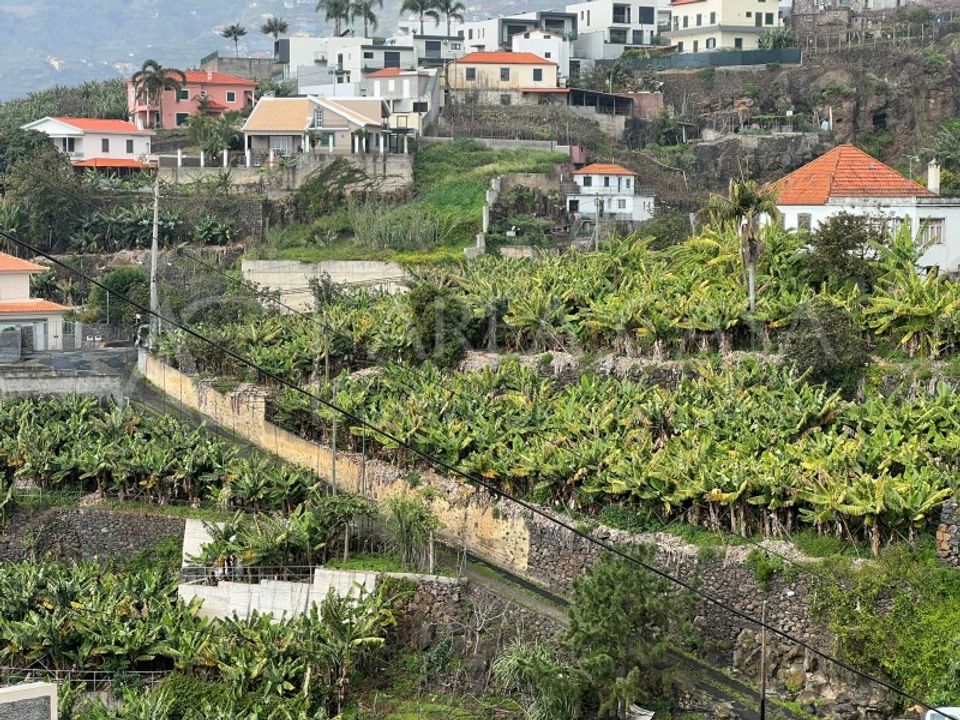Boerderij in Camara de Lobos, Madeira - foto 3