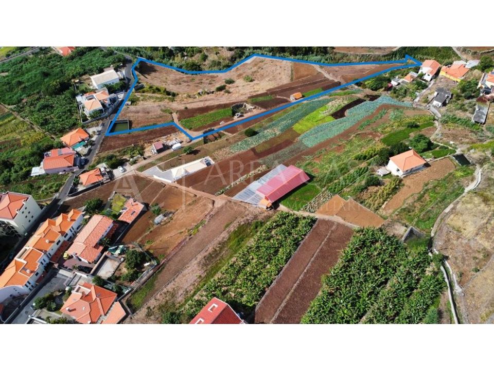 Helårsgrund i Caniço, Madeira - foto 3