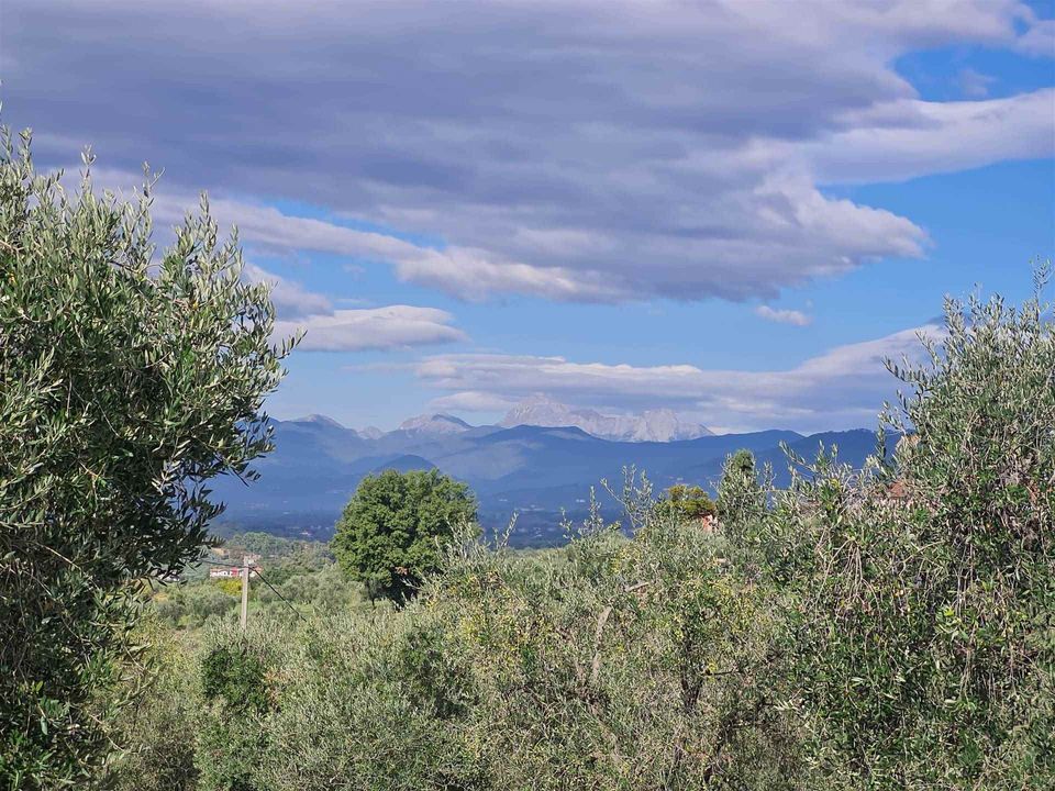 Gårdshus i Montecarlo, Lucca - bilde 5