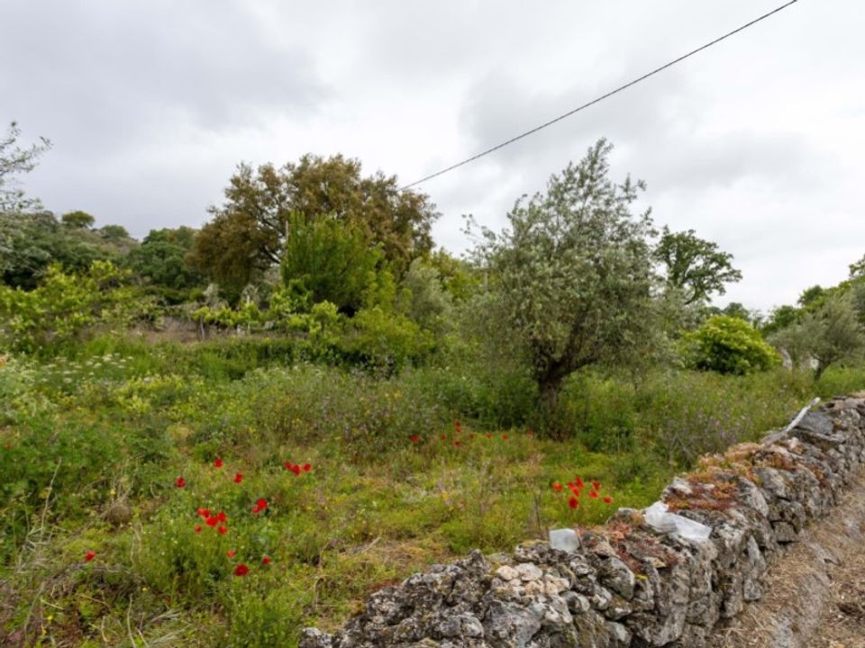 Granja a Castelo de Vide, Portalegre - foto 4