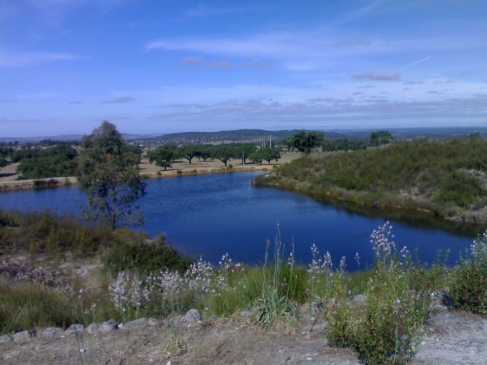 Boerderij in Fortios, Portalegre - foto 1