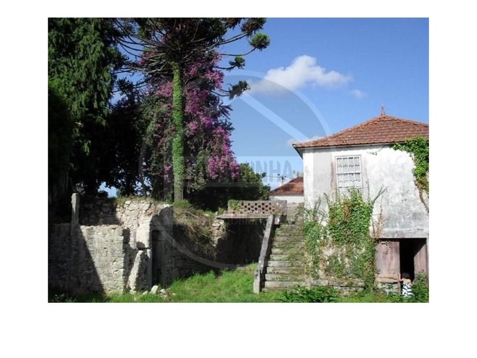 Farm i Viana do Castelo, Viana do Castelo - foto 1