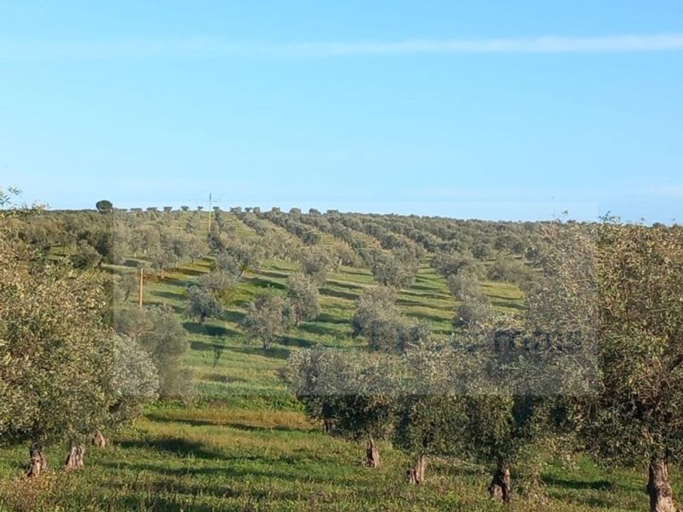 Casa de campo en Mourao, Evora - foto 2